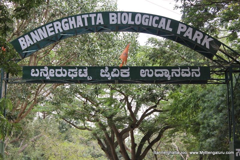 Bannerghatta National park